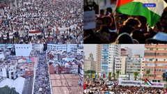 هافانا تنتفض من أجل فلسطين .. مظاهرة حاشدة بقيادة الرئيس الكوبي