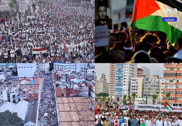 هافانا تنتفض من أجل فلسطين .. مظاهرة حاشدة بقيادة الرئيس الكوبي