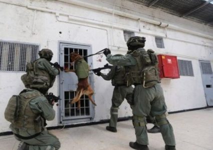 هيئة الأسرى: واقع مأساوي يعيشه الأسرى في سجن" جلبوع "