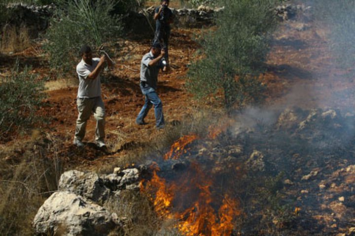 مستوطنون يحرقون 3 منازل ومزرعة دواجن في جالود جنوب نابلس