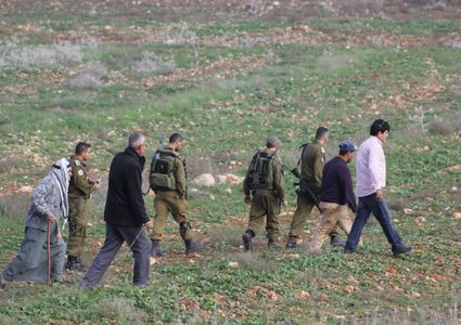 الاحتلال يقمع فعالية لقطف الزيتون في برقة