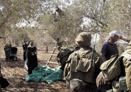 مستوطنون يهاجمون قاطفي زيتون في حزما