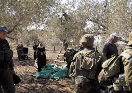 إصابة مسنة بكسور عقب مهاجمة مستعمرين للمزارعين في قريوت