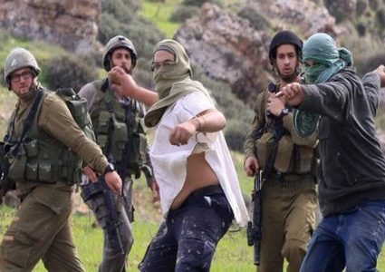 الاحتلال يهاجم قاطفي الزيتون في المغير شرق رام الله ويجبرهم على مغادرة أراضيهم