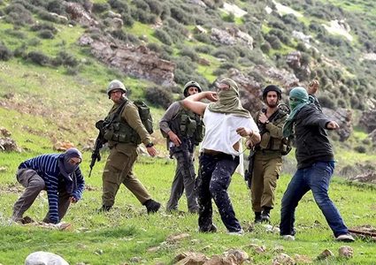 مستوطنون يعتدون على قاطفي الزيتون في كيسان شرق بيت لحم