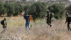 مستوطنون يعتدون على قاطفي الزيتون في كيسان شرق بيت لحم