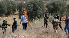 الاحتلال يجبر قاطفي الزيتون على مغادرة أراضيهم جنوب نابلس