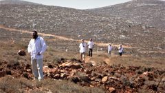 مستوطنون يستولون على قطعة أرض في طوباس