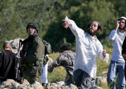 مستعمرون يهاجمون منازل المواطنين في صوريف