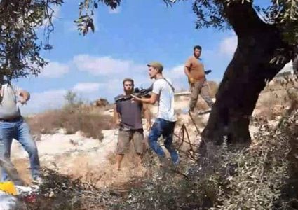 مستوطنون يهاجمون قاطفي الزيتون في جالود جنوب نابلس