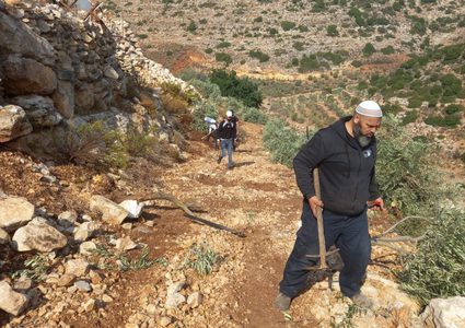 مستوطنون يهاجمون قاطفي الزيتون في كفر الديك غرب سلفيت