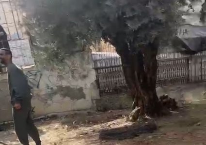 عائلة أبو الهوى تتمكن من استرداد منزلها وأرضها في الطور من المستوطنين