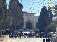 40 ألفا يؤدون صلاة الجمعة في المسجد الأقصى