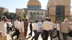 مستوطنون يقتحمون المسجد الأقصى