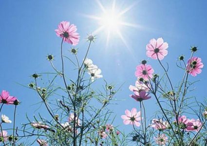 الطقس: انخفاض طفيف على درجات الحرارة