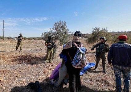 مستوطنون يمنعون المواطنين من قطف الزيتون ويسرقون الثمار جنوب الخليل