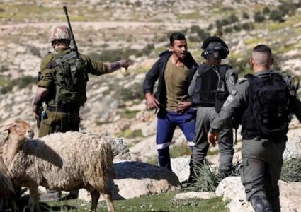 الاحتلال يستولي على 3 مركبات شرق يطا ومستوطنون يطاردون رعاة الأغنام