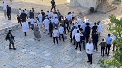 مستوطنون يقتحمون المسجد الأقصى