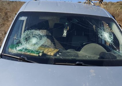 مستوطنون يقطعون 60 شجرة زيتون ويحطمون مركبة شرق سلفيت