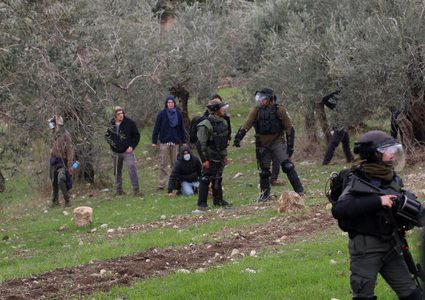 إصابات خلال هجوم لمستوطنين على قاطفي زيتون شرق نابلس