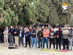 50 ألفا يؤدون صلاة الجمعة في المسجد الأقصى المبارك
