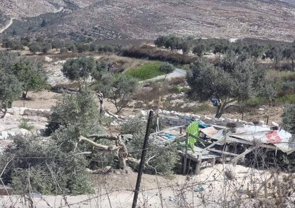 قوات الاحتلال تقطع أشجارا وتدمر شبكة مياه ري في نحالين