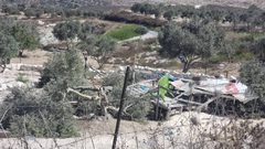 قوات الاحتلال تقطع أشجارا وتدمر شبكة مياه ري في نحالين