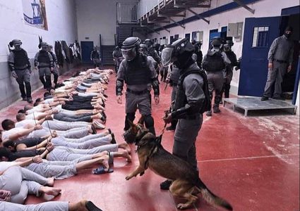 أكثر من 5000 أسير مريض داخل سجون الاحتلال