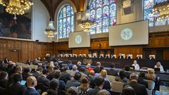 أيرلندا تعلن انضمامها إلى جنوب إفريقيا في دعوى الإبادة الجماعية ضد إسرائيل