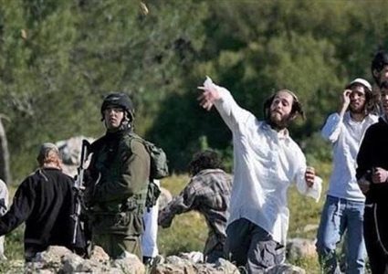 مستعمرون يسرقون مواشي من رأس المالح