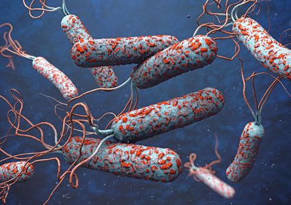 من اليمن إلى فرنسا.. انتشار سلالة الكوليرا شديدة المقاومة للأدوية