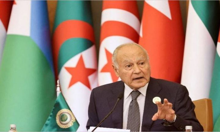 أبو الغيط: الاعتراف بالدولة الفلسطينية خطوة مهمة نحو تعزيز حل الدولتين
