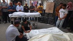 الاحتلال قتل 728 من عناصر تأمين المساعدات ويوفر رعاية للصوص