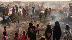 أطباء بلا حدود: خطر المجاعة والموت يهدد الجميع جنوب غرب السودان