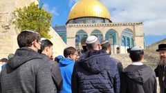 مستوطنون يقتحمون المسجد الأقصى