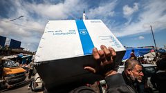 غزة: مقتل اثنين من المواطنين وإصابة العشرات برصاص حراس برنامج الغذاء العالمي