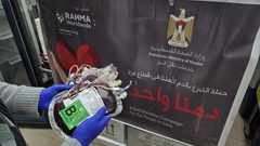 ضمن حملة "دمنا واحد" ..الصحة الفلسطينية توصل 4200 وحدة دم إلى غزة