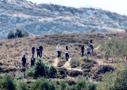 مستعمرون يحرثون أراضي زراعية في الأغوار الشمالية