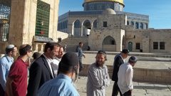 مستوطنون يقتحمون المسجد الأقصى وسط حماية مشددة من شرطة الاحتلال