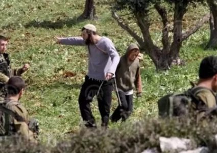 مستوطن يرعى أغنامه بأراضي المواطنين في المغير