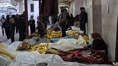 عشرات الشهداء بينهم نساء وأطفال في مجازر وحشية ارتكبها الاحتلال بعد الإعلان عن قرار وقف إطلاق النار في غزة.