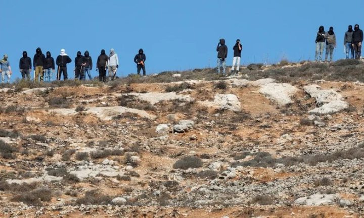 مستوطنون يرعون أغنامهم في ممتلكات المواطنين غرب أريحا