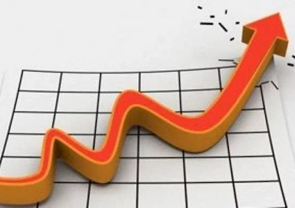 الإحصاء: مؤشر أسعار الجملة يسجل ارتفاعا حادا في عام 2024