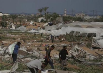 "الفاو": الحرب الإسرائيلية على غزة تدمر 75% من الزراعة ومياه الري