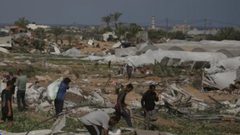 "الفاو": الحرب الإسرائيلية على غزة تدمر 75% من الزراعة ومياه الري