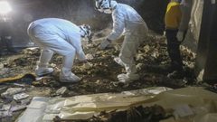 العثور على مقبرة جماعية جديدة بريف دمشق