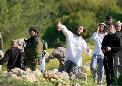 مستوطنون يجددون هجومهم على تجمع عرب المليحات