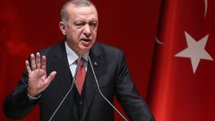 أردوغان: لا استقرار في المنطقة دون إنهاء الاحتلال وإقامة دولة فلسطينية مستقلة