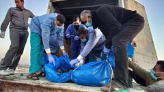 14 شهيدًا انتُشلت جثامينهم- وصول 17 شهيدا لمستشفيات غزة