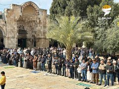 40 ألفا يؤدون صلاة الجمعة في المسجد الأقصى